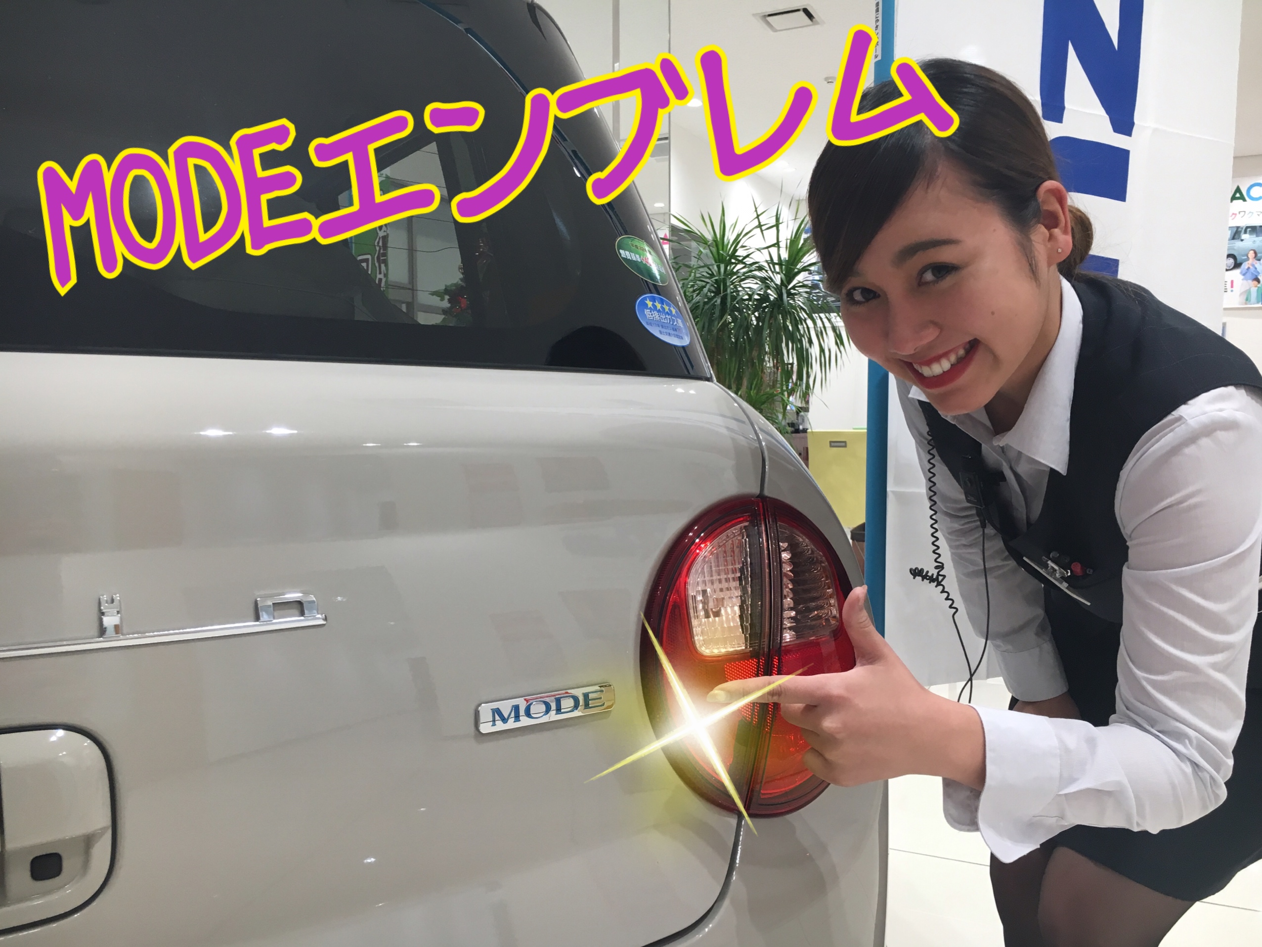 エンブレム~